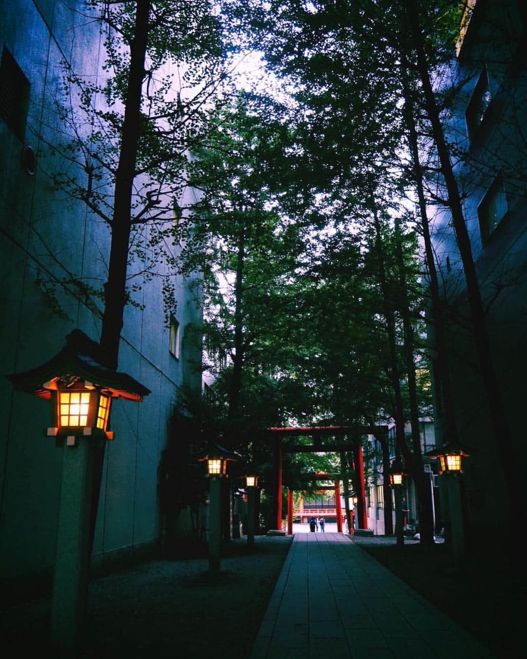 吉田凜音さんのインスタグラム写真 - (吉田凜音Instagram)「写真撮るのがもっと好きになりそうおやすみなさい」8月22日 1時19分 - rinne1211