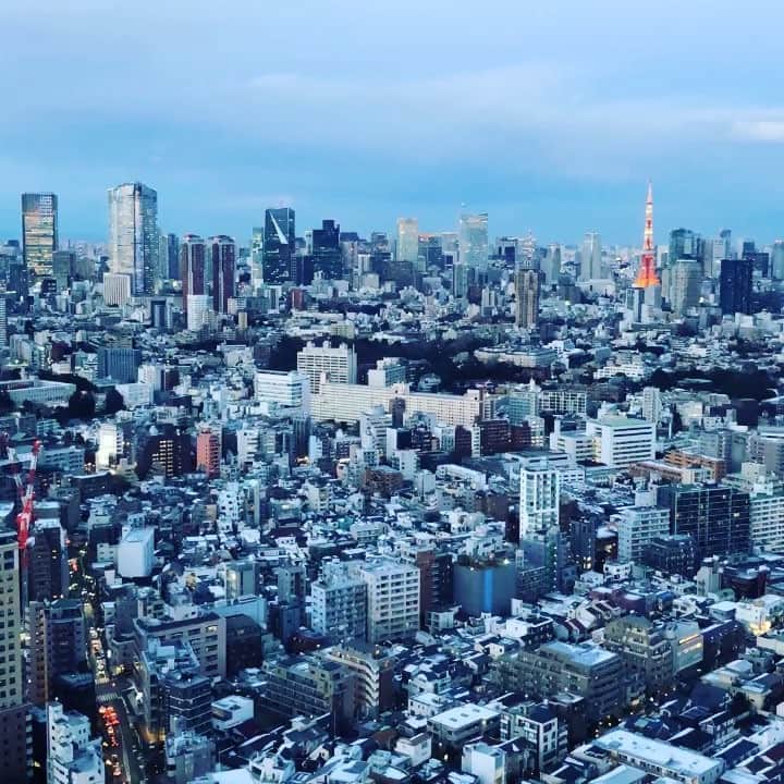 のインスタグラム：「. The best night view in the city! @longraintokyo #longrain #longraintokyo」