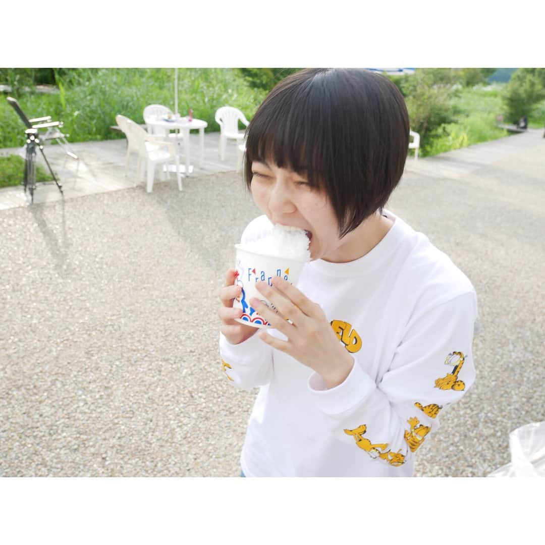 安本彩花さんのインスタグラム写真 - (安本彩花Instagram)「ㅤㅤㅤ ㅤㅤㅤ氷、氷、氷なのは間違いないのさ〜♪ ㅤㅤㅤ ㅤㅤㅤ  焼氷が食べてみたい。 ㅤㅤㅤ ㅤㅤㅤ #焼氷 #朝ドラ #ごちそうさん #西門希子 ちゃん ㅤㅤㅤ ㅤㅤㅤ #半分、青い。 #見てる人ー？ #朝ドラ好きな人ー？  #カメラマン#小林歌穂 #ファミえん #かき氷」8月22日 16時09分 - yasumoto_ayaka_official