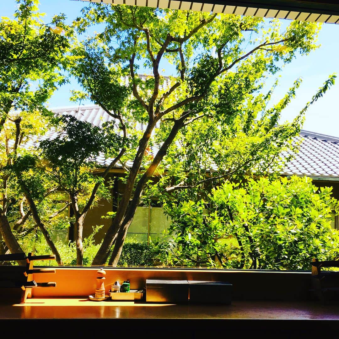 小川淳子さんのインスタグラム写真 - (小川淳子Instagram)「今日は秋冬新作の撮影がありました♡📸 お気に入りのフリルtopsは 秋の新作とも相性抜群！💞 ベストやジレなど💞 とっても素敵にコーディネートを 楽しんで頂けます♡  午後からは母のお誕生日会💐を💞 今、1番お気に入りのお寿司 ホテルオークラの山里さんへ 美しい景色を楽しみながら 幸せなひと時でした💞 母の大好きな 美しい百合の💐花束♡💐 いつまでも元気でいてね！ お誕生日本当におめでとう🎉 いつも本当にありがとう😊💞 これからもずっと元気で 家族の太陽でいて下さいね♡💞 沢山の愛を込めて💞  #chesty  #fashion #love #birthday」8月22日 18時12分 - junkoogawa1225