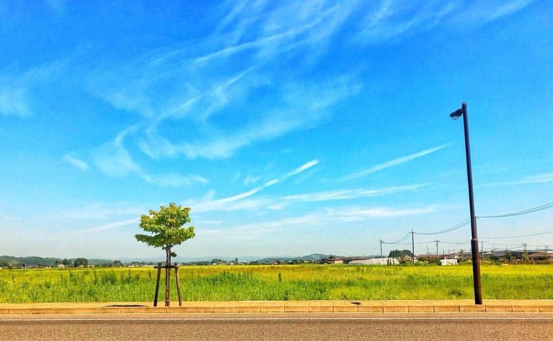 Robert de Boronのインスタグラム：「‪空気いい✨🌅夏も終わりに近づいてるねぇ😌‬」