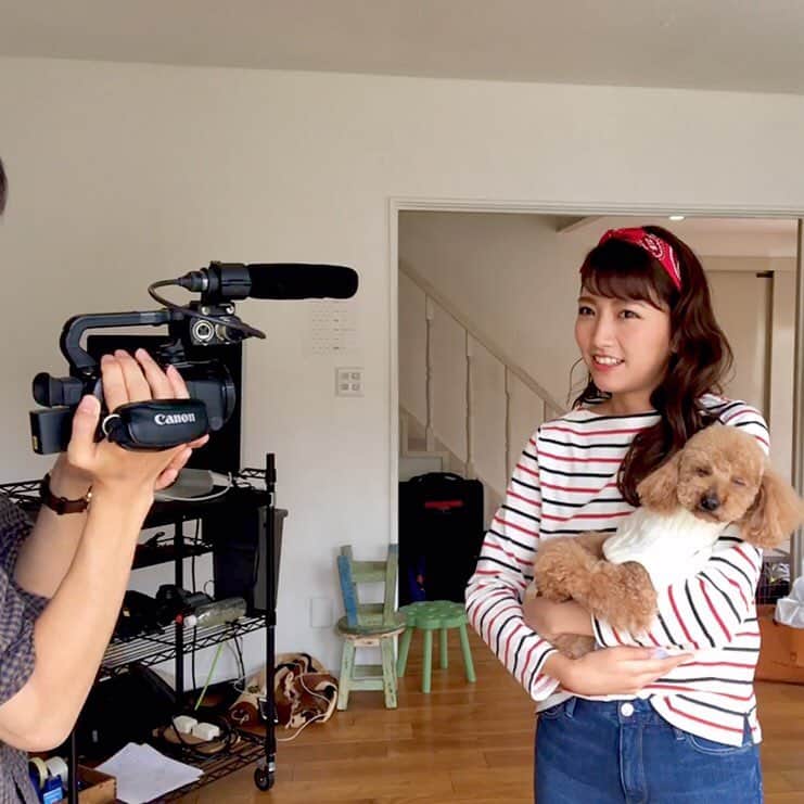 フジテレビアナウンサーさんのインスタグラム写真 - (フジテレビアナウンサーInstagram)「10月1日のフジテレビ女性アナウンサーカレンダーの発売日まで、あと10日🕺 ということで、三田アナウンサーからカウントダウンスタートです！ 誰が登場するか、毎日楽しみにしてください😇  今年は愛犬レオンくんと臨んだ撮影🌟 三田さんがメイクをしている間はカバンの中でおとなしく待っているジェントルマン💓 朝早くからの撮影で、撮影中はどんどんまぶたが閉じていく😪レオンくんでしたが、おかげで撮影現場が一気に和みました…😍 #FODアナマガ でも撮影の様子を公開中🌟 #フジアナカレンダー は10月1日発売です！ #中の人も頑張ります😎 #三田友梨佳  #フジテレビアナウンサー」9月21日 19時03分 - fujitv_announcer