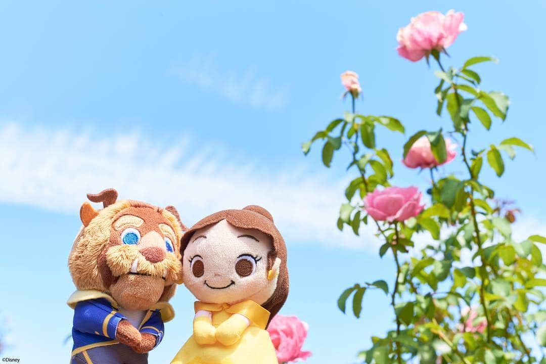 ちょっこりさん【公式】のインスタグラム：「#20180921 * うわぁ～、綺麗な景色。 野獣からのサプライズに、ベルもうっとり。 * #ちょっこりさん #ぬい撮り#ぬいぐるみ #chokkorisan#disney #takaratomyarts #ぬいぐるみと撮り隊 #disney写真部 #ちょっこりさん好きな人とつながりたい #美女と野獣」