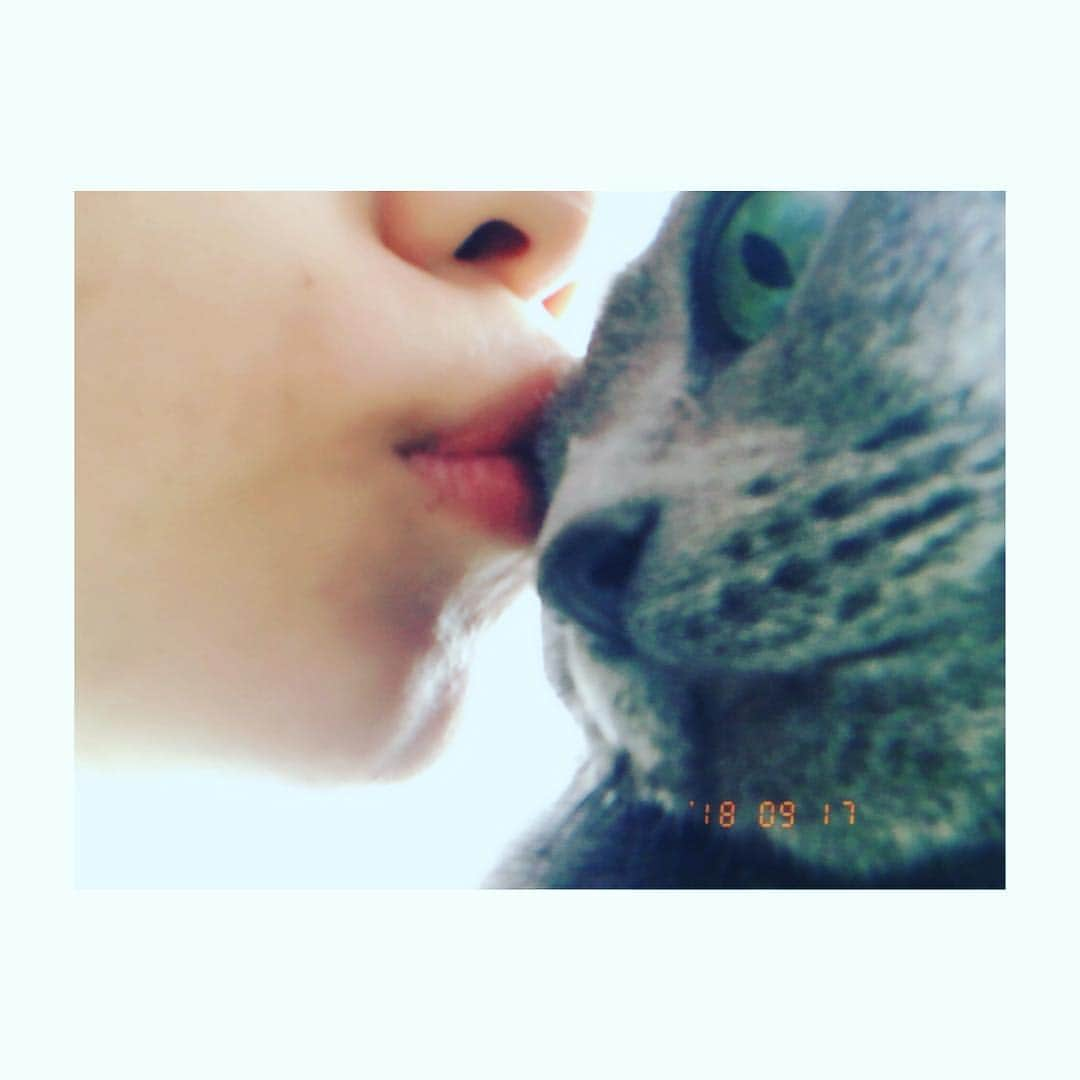 若村柚那のインスタグラム：「Kiss💋 #cat #mycat #love #cute #me #lip #kiss #actress #model #shoot #dayoff #afternoon #awesome #yolo」