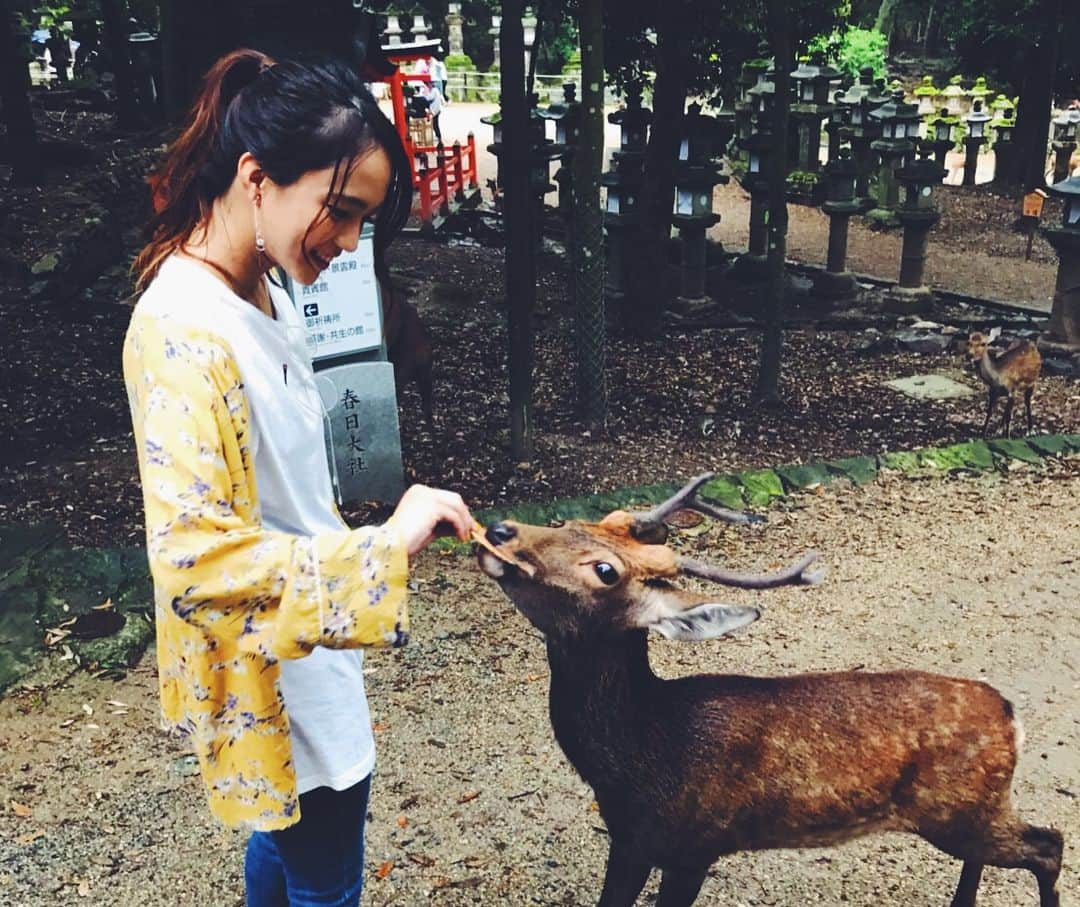 レオラさんのインスタグラム写真 - (レオラInstagram)「🦌🦌🦌💕 . 食いしん坊だなぁ😋 また遊ぼうね👋 . #Leola_LaLa  #Leola #奈良公園 #鹿」9月17日 17時15分 - leola_official