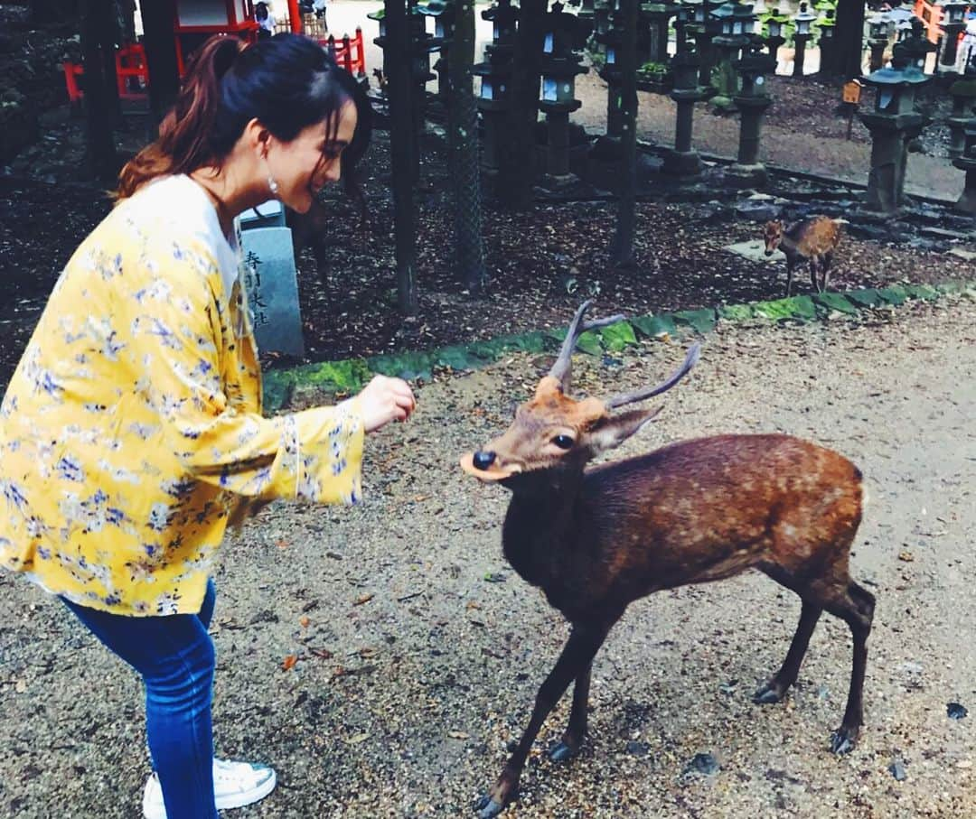 レオラさんのインスタグラム写真 - (レオラInstagram)「🦌🦌🦌💕 . 食いしん坊だなぁ😋 また遊ぼうね👋 . #Leola_LaLa  #Leola #奈良公園 #鹿」9月17日 17時15分 - leola_official