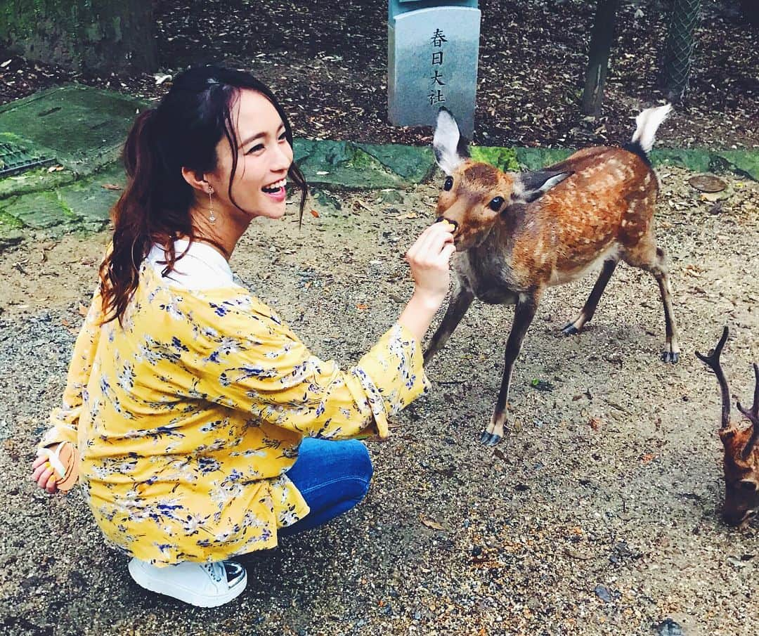 レオラさんのインスタグラム写真 - (レオラInstagram)「🦌🦌🦌💕 . 食いしん坊だなぁ😋 また遊ぼうね👋 . #Leola_LaLa  #Leola #奈良公園 #鹿」9月17日 17時15分 - leola_official