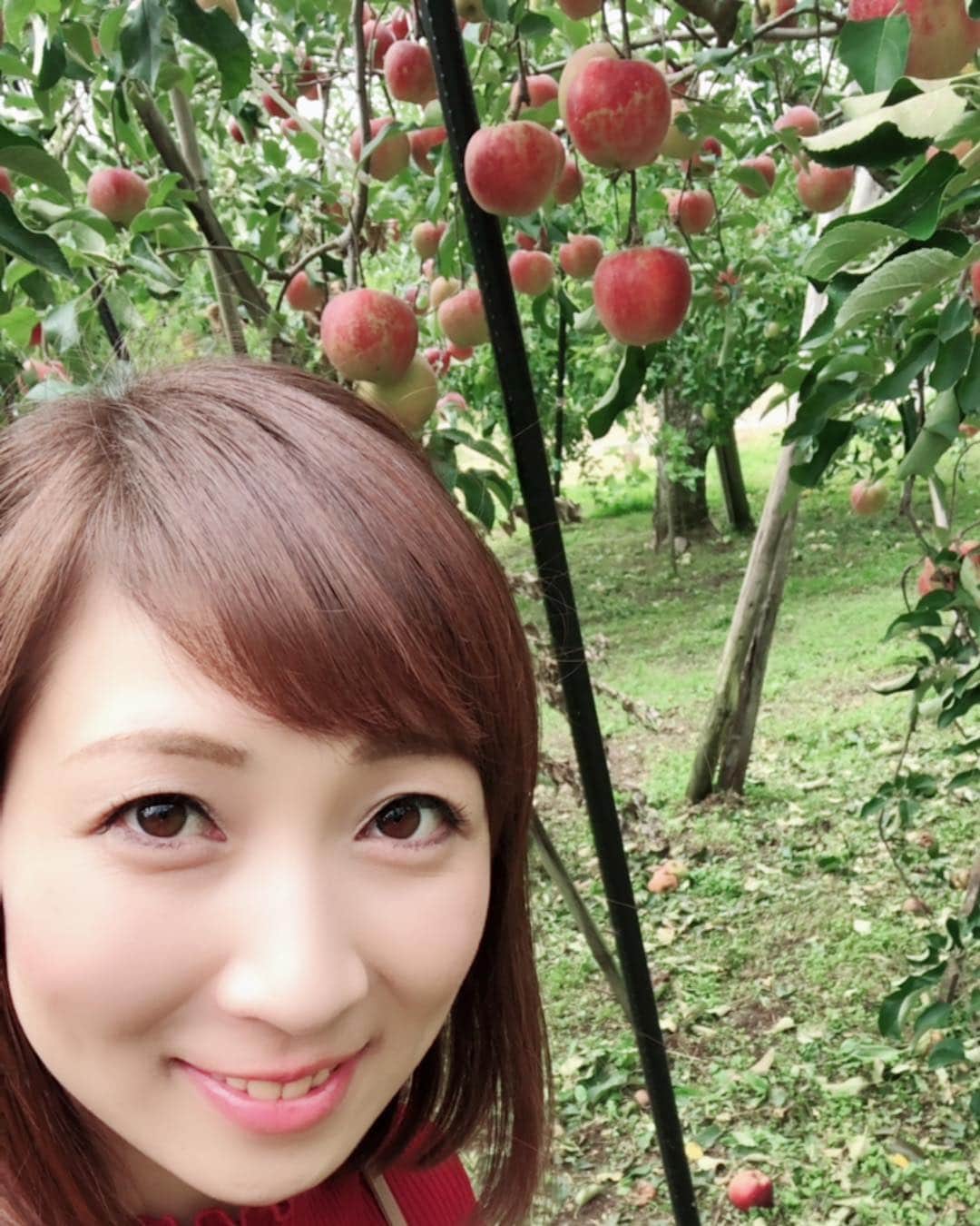 三宅智子さんのインスタグラム写真 - (三宅智子Instagram)「りんご農園〜🍎🍎🍎今日は、朝から長野でロケ！長野は涼しくて、気持ちいいです♪まだ朝ですが、今からガッツリデカ盛り食べます🍜🍜」9月18日 10時26分 - tomoko1121m
