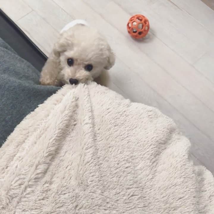 mizuのインスタグラム：「やんちゃ😅」