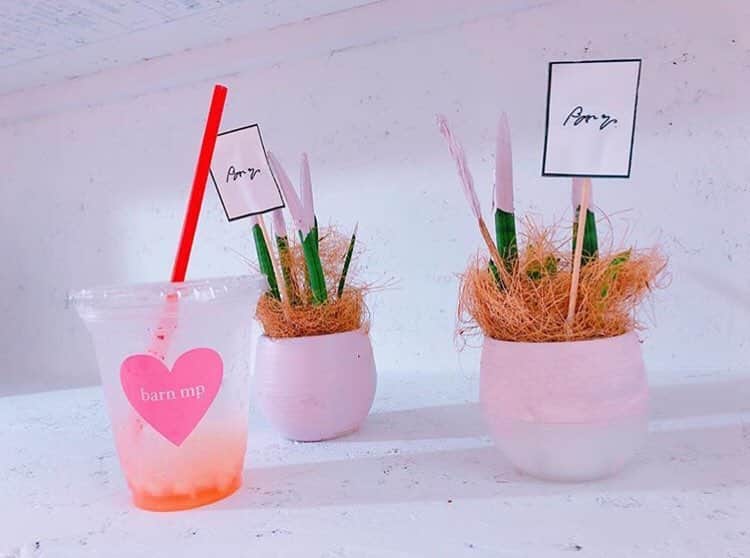 charmmy_officialのグルメインスタ