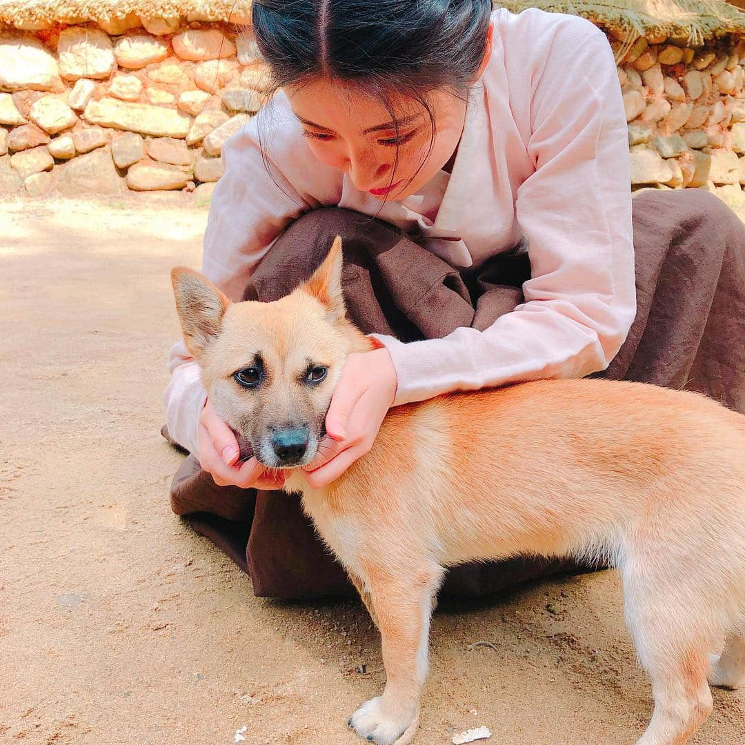 ナム・ジヒョンさんのインスタグラム写真 - (ナム・ジヒョンInstagram)「#백일의낭군님 그려서 오늘은 뭔 내용이래유~? 확인은 오늘밤 9:30에 하세유우~💐 연지곤지 홍심이 만들어주는 고운언니와 귀여움 그 자체 덕구 비하인드🐶🐶」9月18日 20時34分 - hyuniiiiiii_95917