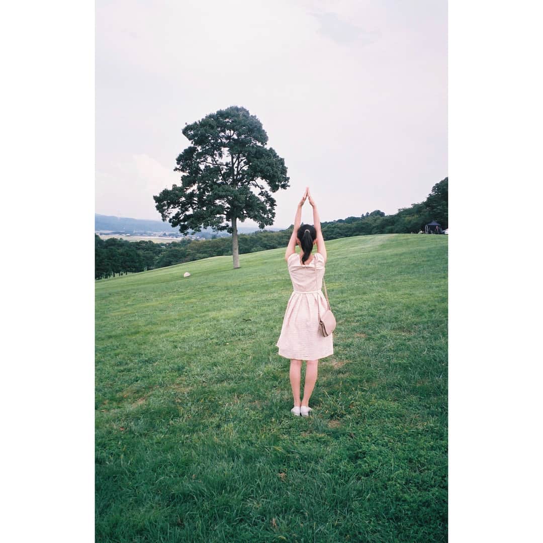芳根京子さんのインスタグラム写真 - (芳根京子Instagram)「🌳 とても暑い現場が多くて 氷嚢さまをこうして頭に乗せてました。 大変お世話になりました。  #film #高嶺の花 #オフショット #もうすぐおわり #寂し」9月19日 18時19分 - yoshinekyoko