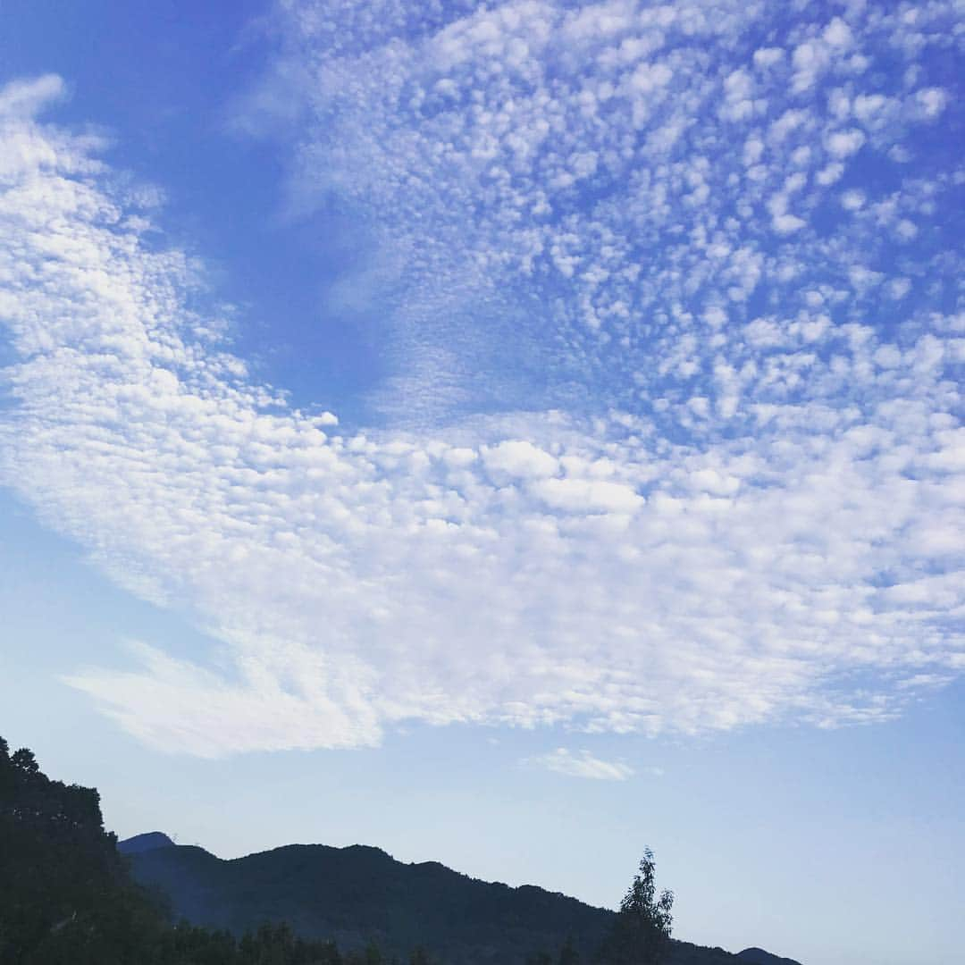 渚りりかさんのインスタグラム写真 - (渚りりかInstagram)「いや家の近くから見える空綺麗すぎ。  #ブルースカイ」9月19日 22時56分 - nagisa_ririka