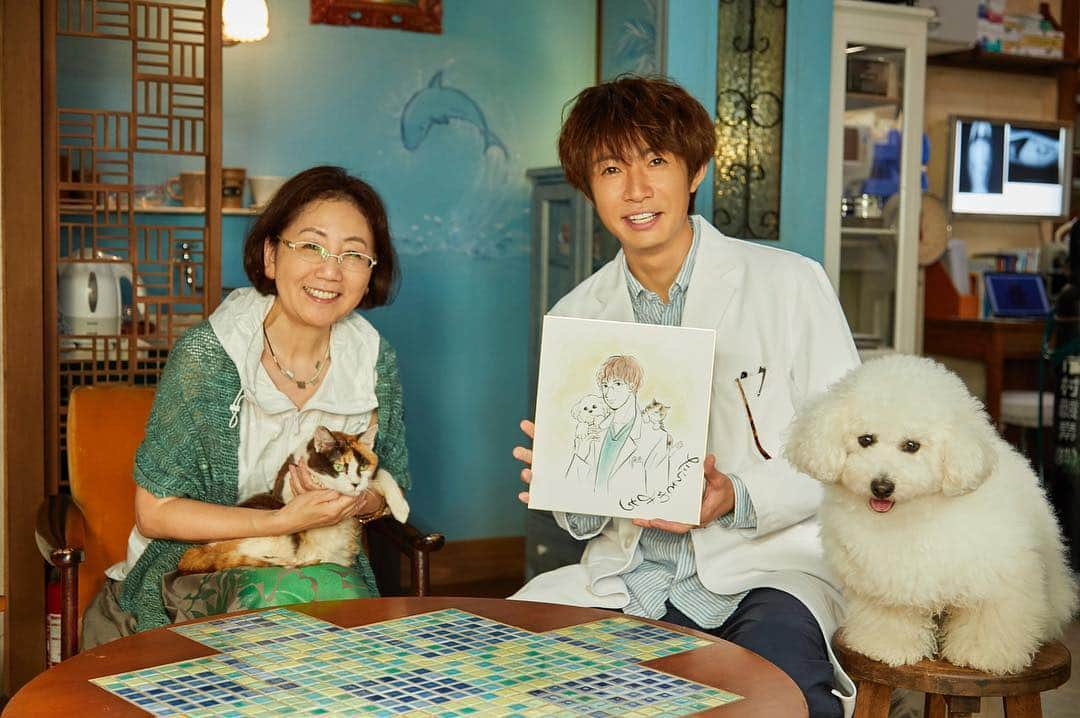 テレビ朝日「僕とシッポと神楽坂」さんのインスタグラム写真 - (テレビ朝日「僕とシッポと神楽坂」Instagram)「コオ先生が働く坂の上動物病院に『僕とシッポと神楽坂』原作者のたらさわみち先生が来てくれたんだ〜😻😻 相葉さん演じるコオ先生とダイキチオギのイラストを描いてプレゼントしてくれました🎁かわいい🐶😻 原作のコオ先生とすこし違うバージョンだから必見❣️ それにしても、この写真の僕、ぬいぐるみ感あるよね〜🐶失礼だな😾 オギ様は先生に抱かれて緊張してるみたい。笑  たらさわ先生ありがとう😊😊！コミックもたくさんの人が読んでくれてるって🐩  ドラマ楽しみにしててね❣️ #僕とシッポと神楽坂 #僕坂 #シッポ #相葉雅紀 #広末涼子 #趣里 #小瀧望 #イッセー尾形 #ダイキチ #モフ #ぬいぐるみ感 #💚 #僕がついてるよ #たらさわみち」9月20日 10時10分 - shippo_daikichi