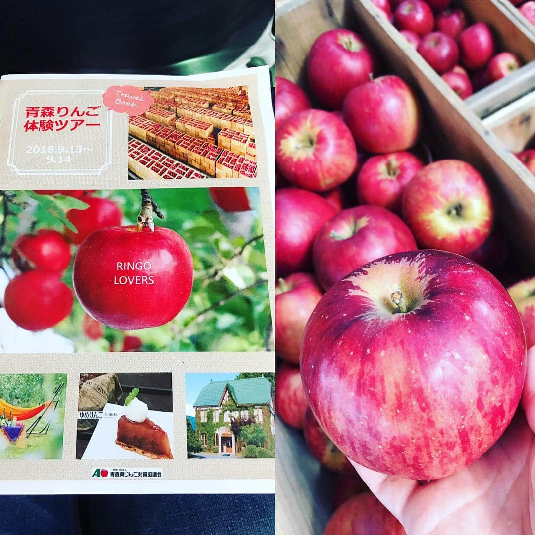芦田桂子さんのインスタグラム写真 - (芦田桂子Instagram)「人生初めて訪れた自然豊かな青森のりんご畑🍎 りんご木箱の上で皆んなで食べたお弁当🍱.... • りんごづくし感動しっぱなしだった 『 #青森りんご体験ツアー 』の様子を少しづつブログに書いてます。 良かったらみてくださいね🍎 • https://lineblog.me/ashidakeiko/ • きっと青森に行きたくなるかも！ 笑 • #青森 #りんご #はつ恋ぐりん #ふじりんご #青森りんご体験ツアー #りんご研究所 #青森りんご対策協議会 #なぎさカフェ ##aomori #apples #love #happy #beautyfood #healthyfood #芦田桂子」9月20日 13時22分 - keiko_ashida