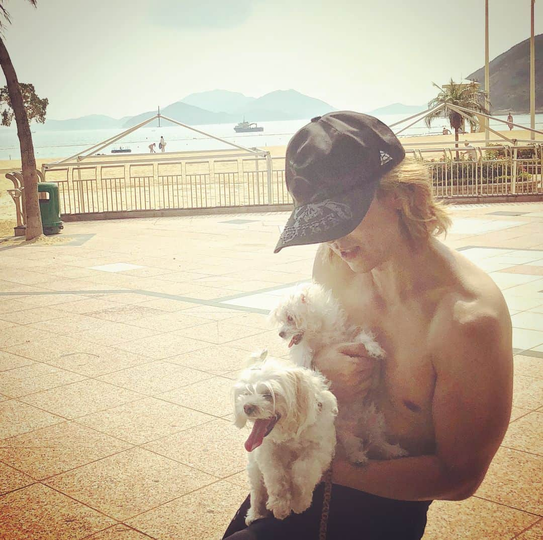 YOSHIKIさんのインスタグラム写真 - (YOSHIKIInstagram)「With my puppies yesterday! They are getting heavier.　重たくなってきた。！Xx」9月20日 18時45分 - yoshikiofficial