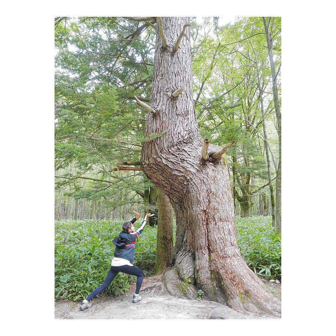 落合恭子さんのインスタグラム写真 - (落合恭子Instagram)「🌲 オキヅカイありがとうございます😊 . Thanks for your special treetment🐒 . #woods #walk #kamehameha #ダジャレバスター #暇だよ #instagood」9月20日 19時09分 - kyokomarch5th