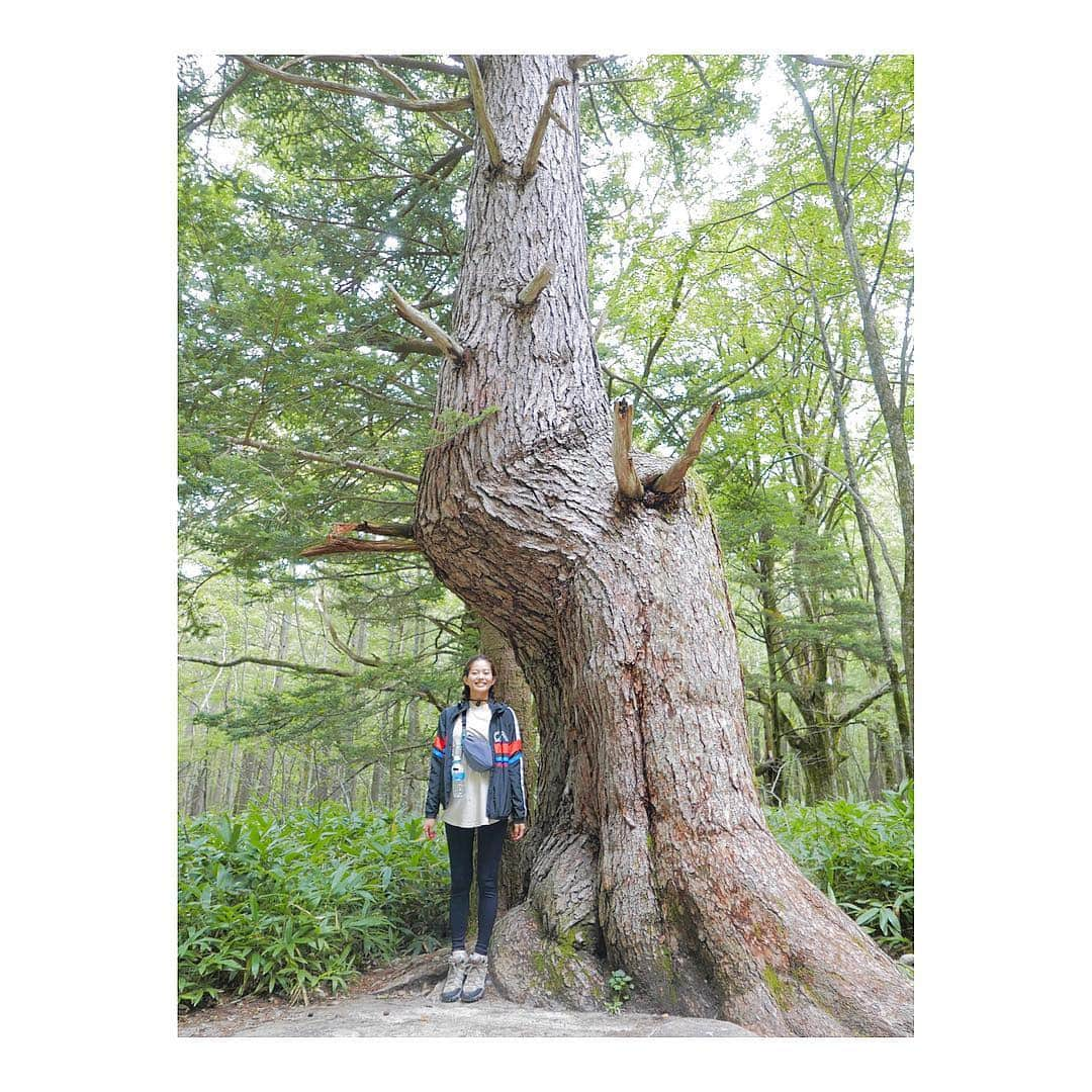 落合恭子のインスタグラム：「🌲 オキヅカイありがとうございます😊 . Thanks for your special treetment🐒 . #woods #walk #kamehameha #ダジャレバスター #暇だよ #instagood」