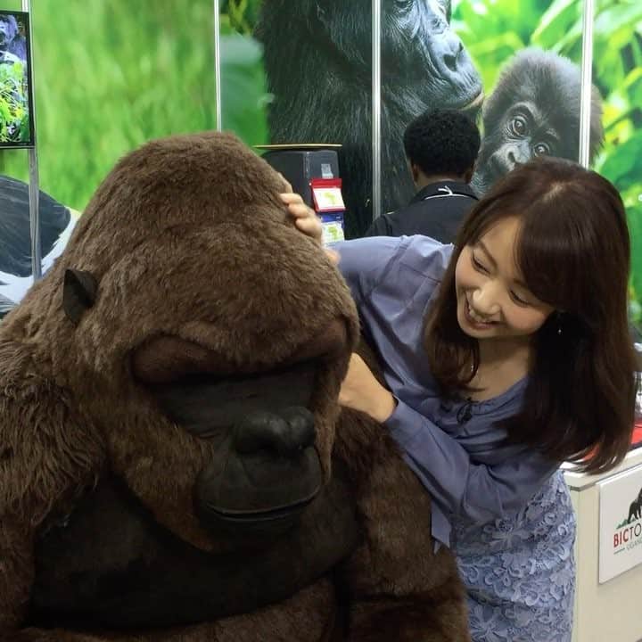 須黒清華のインスタグラム：「今日はツーリズムEXPOジャパンに行って来ました。 これは世界各国や日本各地への旅行が疑似体験出来る、旅行と観光の展示会。 中にはVRやアバターを利用して、現地に行かなくてもまるで旅行をしているような体験が出来る施設もあります。 最新の技術を観光に利用する狙いと、企業の戦略とは？ この後のWBSでお伝えします！ #ワールドビジネスサテライト #WBS #旅行 #観光 #旅行体験 #世界旅行 #日本旅行 #どこかに行きたいなぁ」