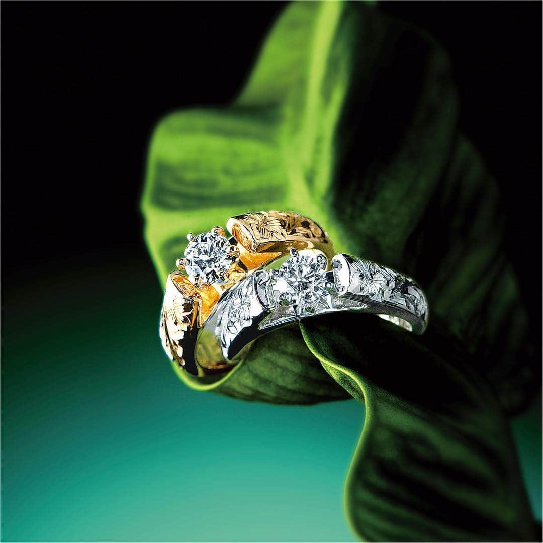 ハワイアンジュエリーのWailea（ワイレア）さんのインスタグラム写真 - (ハワイアンジュエリーのWailea（ワイレア）Instagram)「【Adorable Engagement Ring（アドラブル エンゲージリング）】 ワイレアのブライダルラインを代表する、人気のエンゲージリング💍 神聖なハワイの伝統柄と、上質なダイヤモンドを組み合わせた、愛される女性のためのエレガントな婚約指輪です。ゴールド、プラチナムなど素材によっても表情が変わり、持ち主の個性を豊かに表現します🌿✨ ・・・ ￥332,640〜（税抜） ※ダイヤモンドはルースにより値段が変わるため、ご予算に応じてお選びいただけます。  #wailea #ワイレア #hawaiianjewelry #ハワイアンジュエリー #ハワジュ #オーダー #エンゲージリング #婚約指輪 #engagementring #結婚 #ハワイ #hawaii #指輪 #リング #ring」9月20日 20時21分 - wailea.hawaii