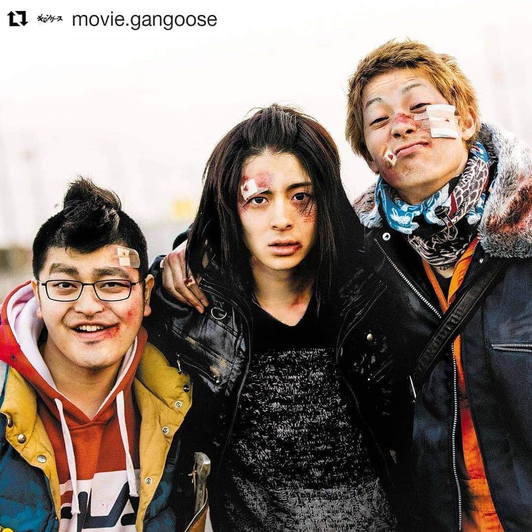 高杉真宙さんのインスタグラム写真 - (高杉真宙Instagram)「嬉しいお知らせ。  #Repost @movie.gangoose (@get_repost) ・・・ 10月25日(木)〜11月3日(土・祝)まで開催される第31回#東京国際映画祭 の“特別招待作品”として『#ギャングース 』の出品が決定しました🎬  公開に先駆け、いち早く鑑賞できる機会でもある映画祭内の上映日は、後日発表予定です！」9月21日 8時27分 - mahirotakasugi_