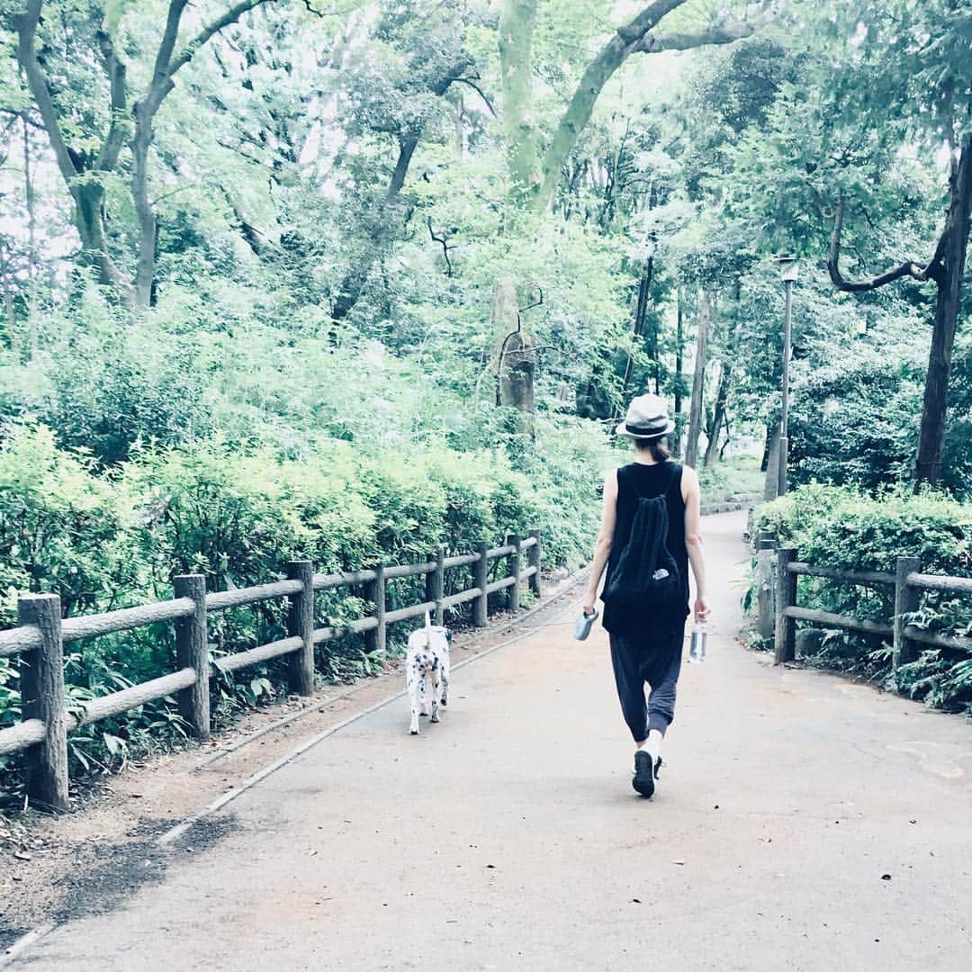 高岡早紀 さんのインスタグラム写真 - (高岡早紀 Instagram)「今日は過ごしやすい日なのかな… なんて思ったけど… いやいや、なんて蒸し暑い日。。 お散歩したら、汗いっぱいに。。。 #dalmatian」8月28日 12時07分 - saki_takaoka