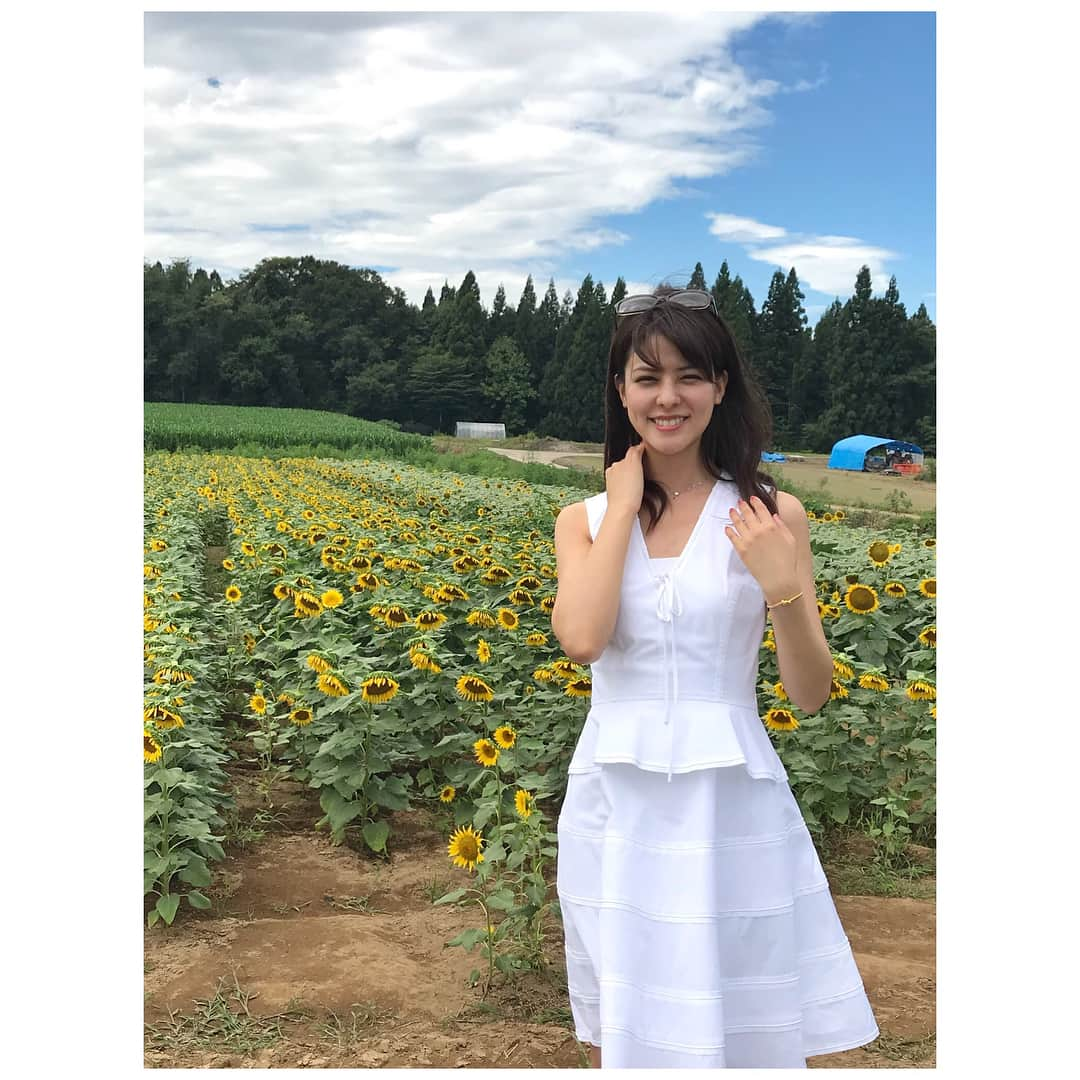 藤井美菜のインスタグラム