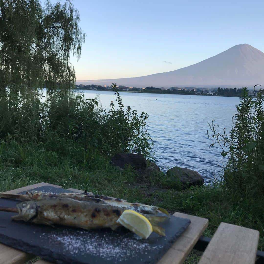 久松かおりさんのインスタグラム写真 - (久松かおりInstagram)「. 家族でキャンプ🏕😊♫ らっぴーは初めてのキャンプ！ ずっと笑顔で愛おしかった🐶 . 河口湖初めていったんだけどいいとこ すぎて毎年行きたくなったよ🌟 . ずっと富士山目の前で起きてすぐ見る景色 富士山ってロケーション最高すぎない？笑 自然の中でのんびりほんと幸せな 時間すぎたなぁ💭🍃 次は家族みんな揃っていきたい！ . . #河口湖 #キャンプ #自然 #富士山 #いぬのいる暮らし #犬 #ふあもこ部 #トイプードル #アプリコット #followme」8月28日 21時29分 - hisamatsu_kaori