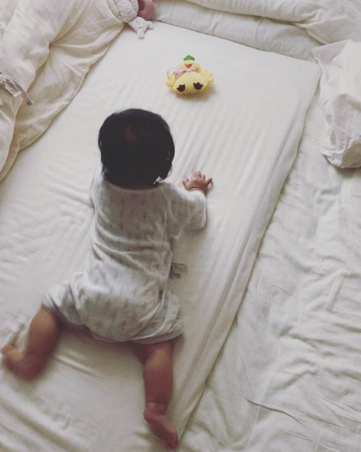 maatamagosanのインスタグラム：「今日で6ヶ月になりました。急に動きだしてびっくりしてる。カエルみたい🐸」