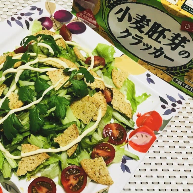 森永製菓のインスタグラム：「小麦胚芽のクラッカー、簡単レシピ。 #小麦胚芽サラダ . レタス、ミニトマト、きゅうりのサラダに #小麦胚芽のクラッカー と #自家製パクチー を添えて。クラッカーの食感がほどよいアクセントになります。 . #森永 #森永製菓 #morinaga #小麦胚芽のクラッカーレシピ #簡単レシピ #天使のお菓子レシピ #サラダ に小麦胚芽のクラッカー #食感がアクセントに #アレンジレシピ #食物繊維 #いい商品広め隊」