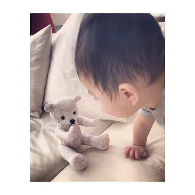 秋元玲奈さんのインスタグラム写真 - (秋元玲奈Instagram)「His first teddy and a friend☺️ #teddy #teddybear #bff」8月29日 16時23分 - rena_akimoto