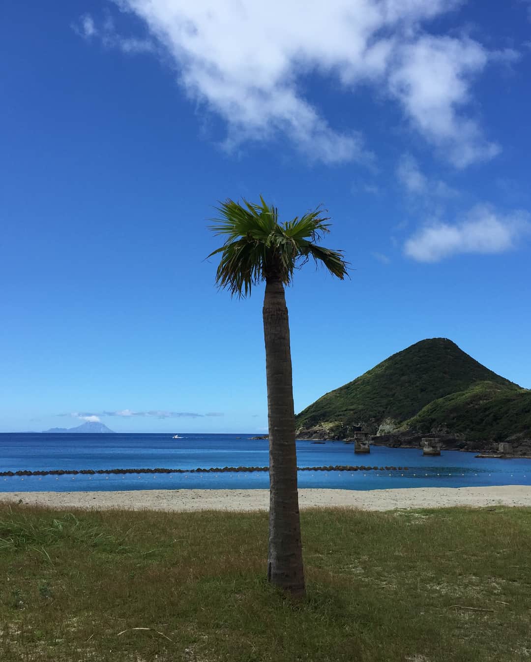 渡邉海人さんのインスタグラム写真 - (渡邉海人Instagram)「家族旅行で屋久島に行ってきました！ もののけのモデルになった場所にも行って、初めて海釣りもしました🎣 海も山も両方あって充実した旅行だった！今度はクライミングをしに行きたいな〜🧗🏻‍♂️」8月29日 22時46分 - kaito_8611