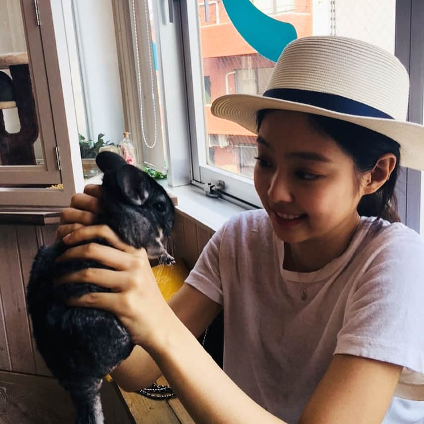 ジェニーさんのインスタグラム写真 - (ジェニーInstagram)「YES, i’m holding a chinchilla」8月30日 14時14分 - jennierubyjane