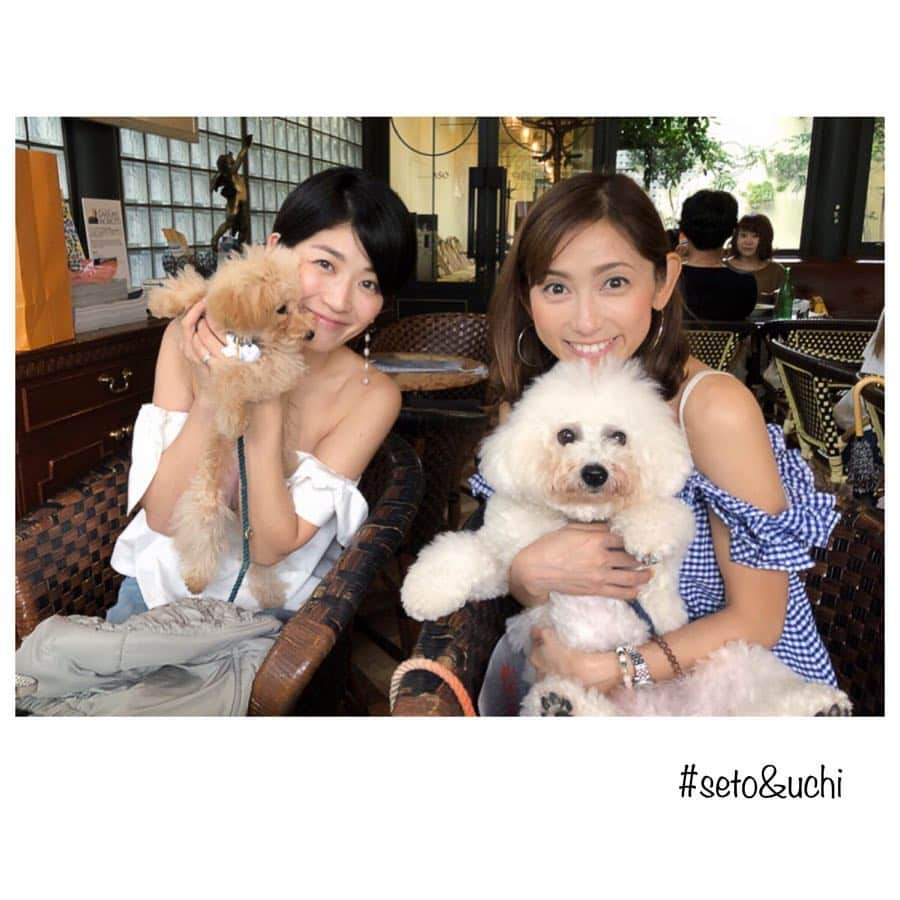 宮崎瑠依さんのインスタグラム写真 - (宮崎瑠依Instagram)「昨日は尾上綾ちゃんとランチをしながら10月の一大イベントに向けて大事なミーティング😎✨ . 綾ちゃんの愛犬セトとウチも一緒に来てくれました(^^) あー楽しかったw セト&ウチといっぱい戯れて幸せ🙈💕 . #ランチミーティング  #セトとウチ #犬とランチ #セトしっかりカメラ目線 w #ウチも成長しました  #綾ちゃんは相変わらず美人です」8月30日 18時06分 - ruimiyazaki