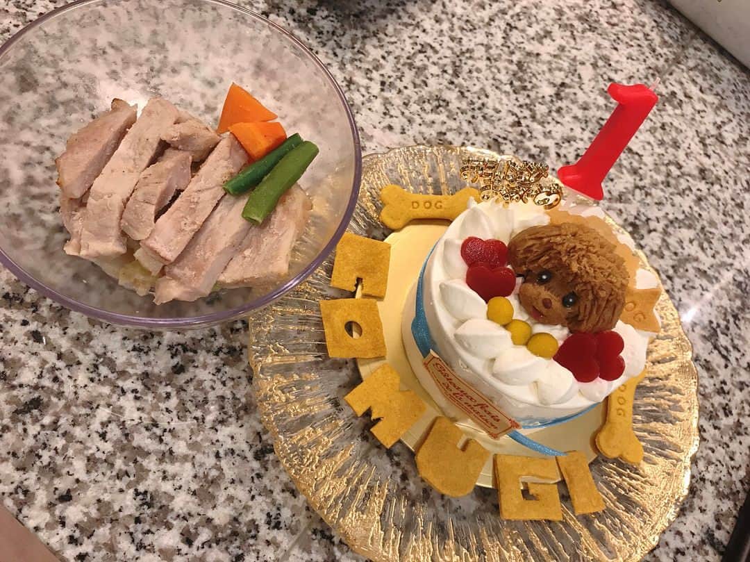 大島祐哉のインスタグラム：「小麦一歳のお誕生日おめでとう🐻🎂 長生きしてね👍  #誕生日 #愛犬 #トイプードル」