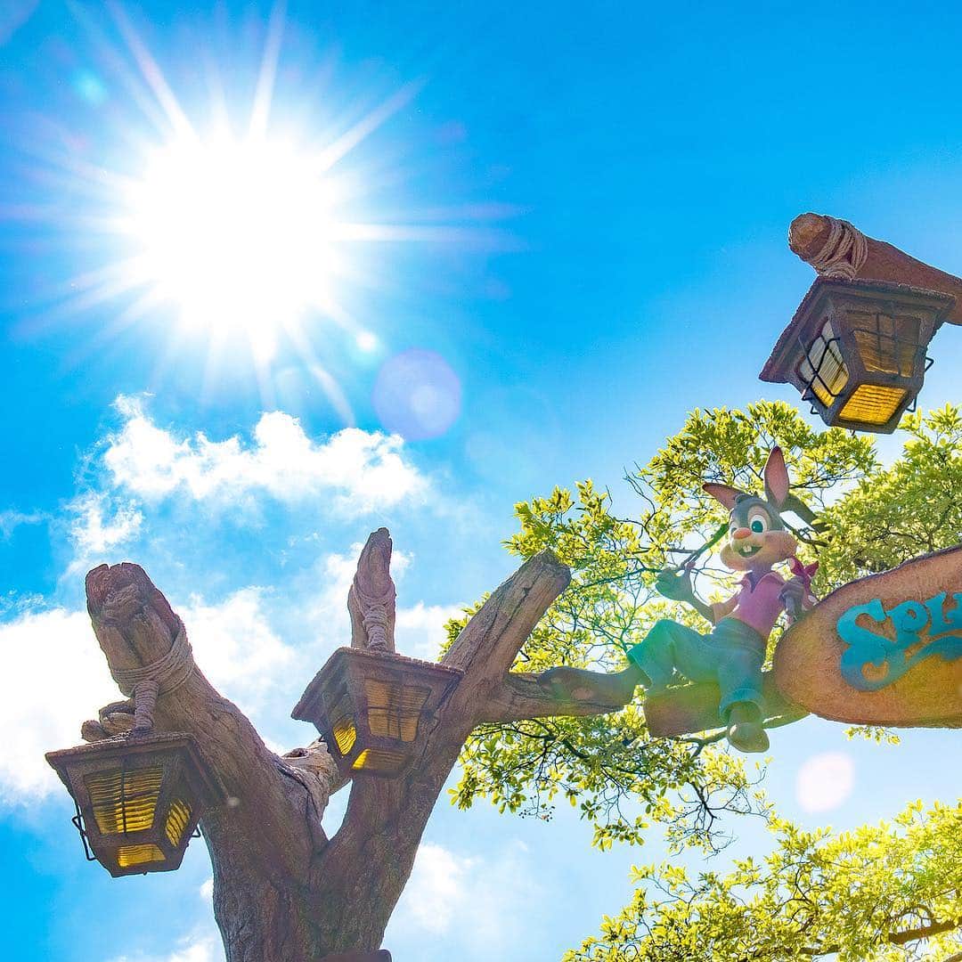 東京ディズニーリゾートのインスタグラム
