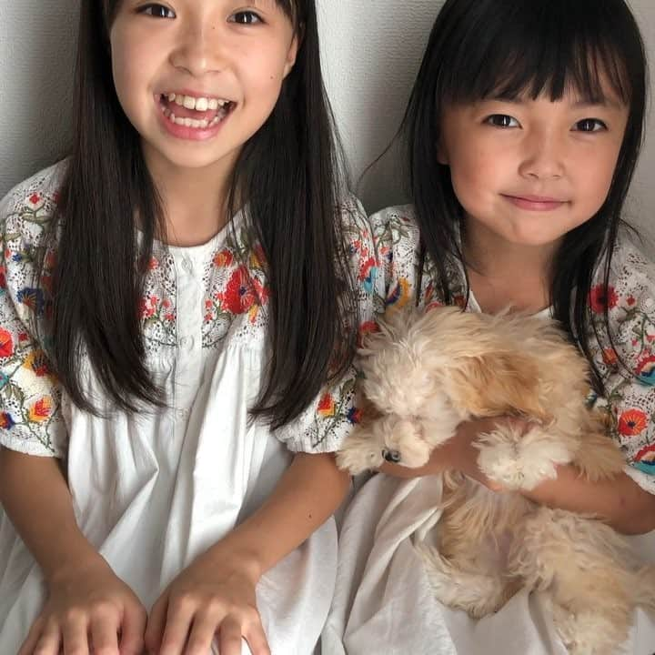 新井美羽のインスタグラム：「インスタグラムのアカウントが突然無くなりました😢新しいアカウントです❗️よろしくおねがいします🙇🏻‍♀️ #新井美羽 #新井琉月 #くうちゃん」