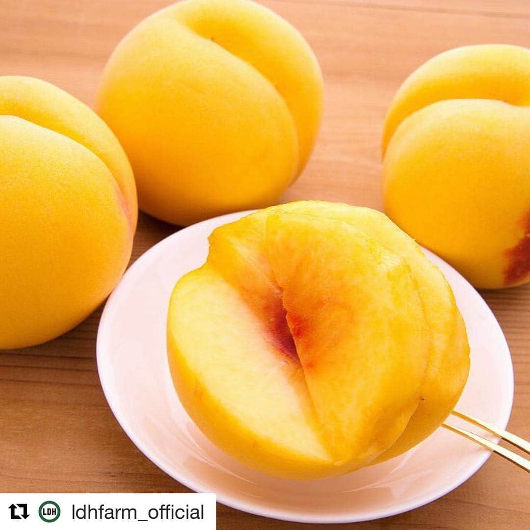 RIKACOさんのインスタグラム写真 - (RIKACOInstagram)「これ絶対美味しいやつ💛🧡💛🧡💛🧡 #rikaco_fashion  詳しくは 🔻 #Repost @ldhfarm_official ・・・ 間もなく『新潟の完熟桃』、黄金桃の収穫がスタート！ ・ 別名ゴールデンピーチ🍑✨ ・ その名の通り、まるでマンゴーのような綺麗な黄金色の果肉。 ・ とってもジューシーで甘味が強く、とろけるなめらかな食感で濃厚なおいしさが楽しめます。 ・ とても希少価値が高く売り切れ次第終了となります。 ・ 是非この機会に一度お試し下さい。 ・ ※お届けは9月10日前後から予定しております。 ・ （天候の状況で変動ございますので予めご了承下さい。） ・ ----------------------- ▼WEBでの購入はこちらから💁‍♂️🍑🍇🍐 ・ \おいしい旬の食材を生産地からお届けします/🚛 ・ ⬇️ http://www.ldhfarm.co.jp/product/ ・ @ldhfarm_officialのプロフィールURLからもご購入いただけます🤗 ・ ----------------------- #ldhfarm  #旬の食材  #黄金桃  #美味しい笑顔  #fresh  #fruit  #healthy  #foodpics  #homemade」8月31日 15時44分 - rikaco_official