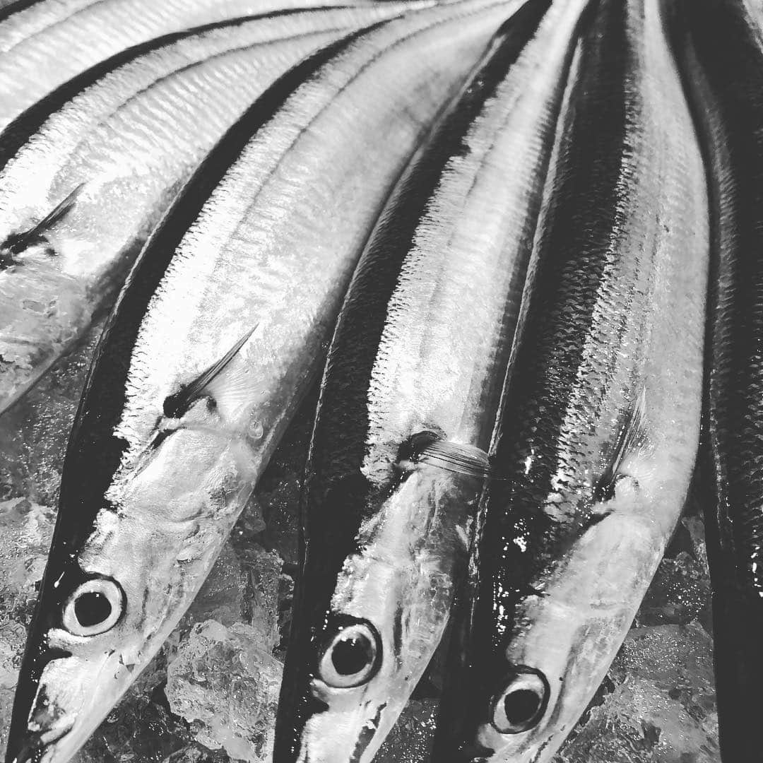 築地Azamiのグルメインスタ