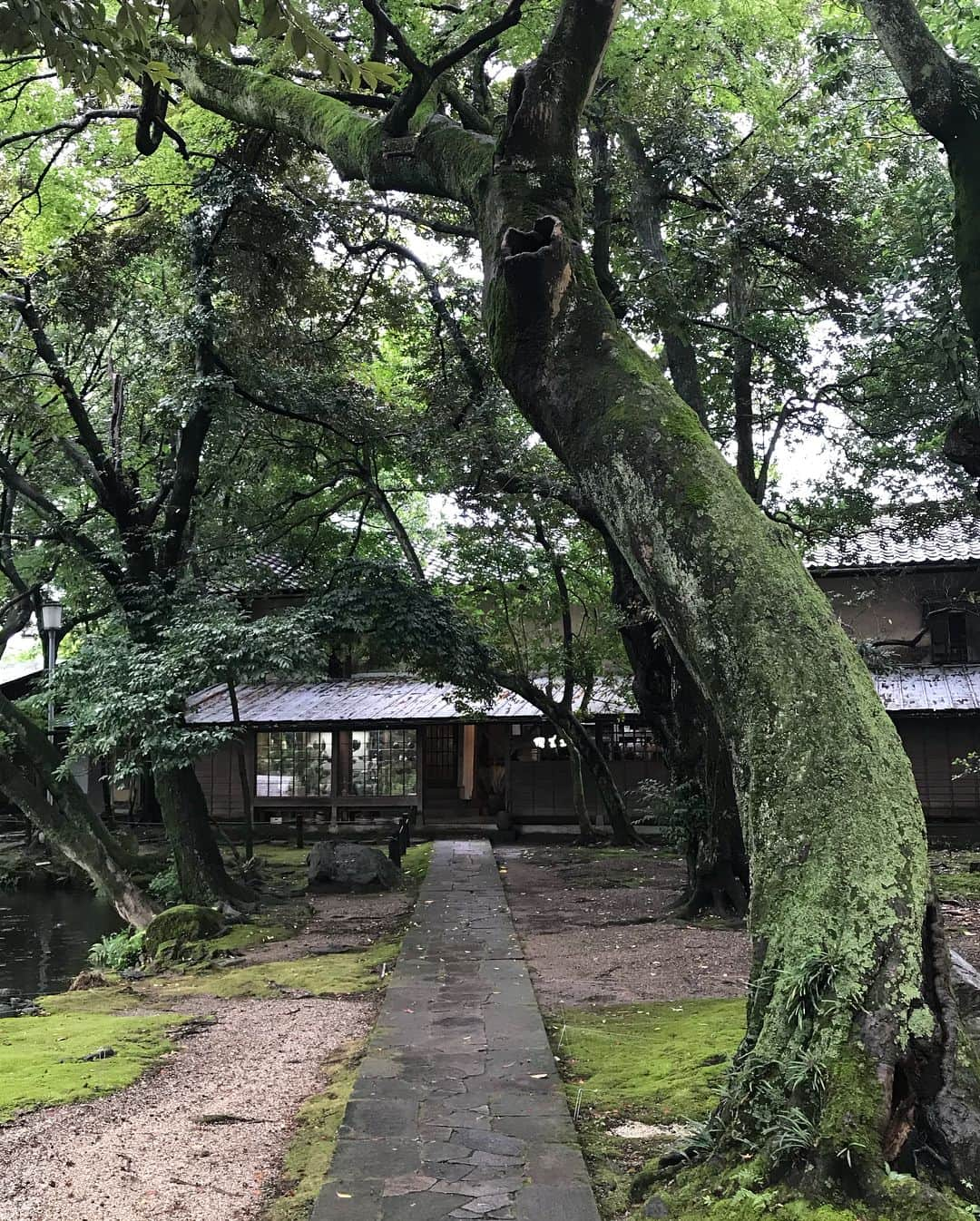 矢野未希子さんのインスタグラム写真 - (矢野未希子Instagram)「北陶陶芸工房でろくろ体験🦔 ここの工房は緑の中にあり 建物や周りの雰囲気まで素敵  工房に入るところから わぁー♡ってなれるところでした  お父さんお母さん妹と みんなそれぞれ作りたいものを作って 楽しい時間でした🌿🌎 また完成して家に届くのがたのしみ🌾」9月1日 11時57分 - mikko1104