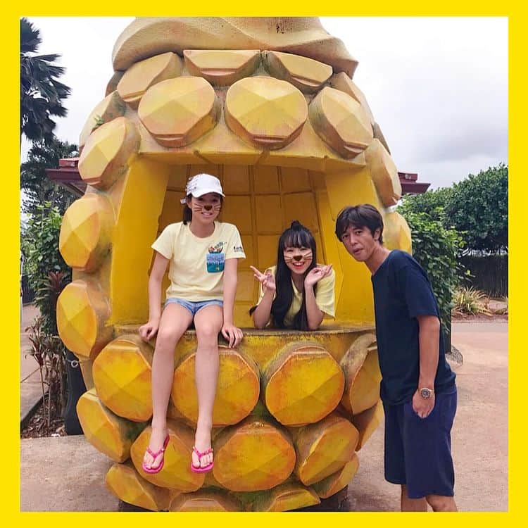 麻美さんのインスタグラム写真 - (麻美Instagram)「インスタ映えスポット🤣❓ご紹介 🍍🍍🍍 ． @doleplantation . パイナップル🍍畑を チンチン電車🚃で見学できて ． すごい巨大な迷路もあり ． パイナップルのスィーツ🍍が豊富 スムージーは美味しくて ジィジ🧓🏻とバァバ👵🏻も大絶賛💕 ． #hawaii #doleplantation  #pineapples  #love#family #ハワイ#家族旅行 #リンクコーデ」9月1日 17時34分 - mami0s
