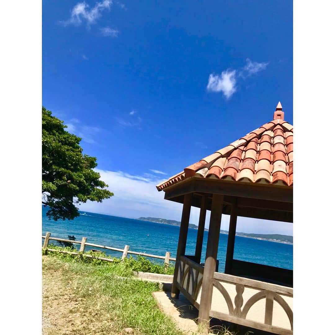 山本里菜さんのインスタグラム写真 - (山本里菜Instagram)「やっと私の夏が来たーー🏖🤗 ダイビングしてきましたっ!!!!! 朝は風が強く白波が立っていたのでビーチからのダイブに🐠 幸せな時間を過ごせました♬ #ダイビング #趣味なのです #楽しすぎるのです #生まれ変わったら #海になりたいです #海の生き物ではなく #海そのものです #海が大好きです #明日からまた1週間頑張るぞ 💪」9月1日 18時32分 - rinayamamoto_0622