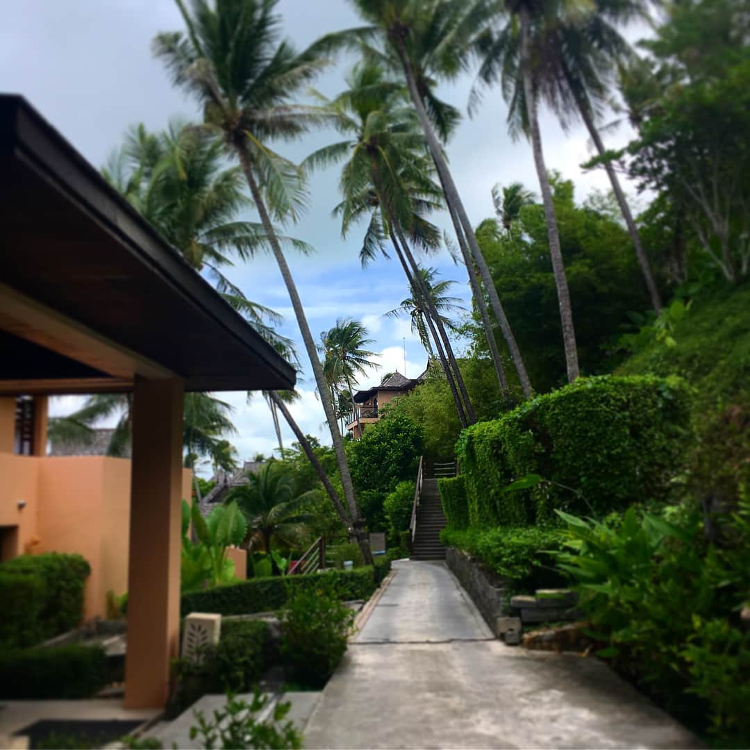 REALTA 2016.02.24のインスタグラム：「Resort&Spa リラックス満喫！  #自然派 #プーケット旅行  #バランス大切 #ビーチリゾート  #プール  #家族旅行 #resort#spa  #hotel #5つ星ホテル  #いつもスイカジュースやな」