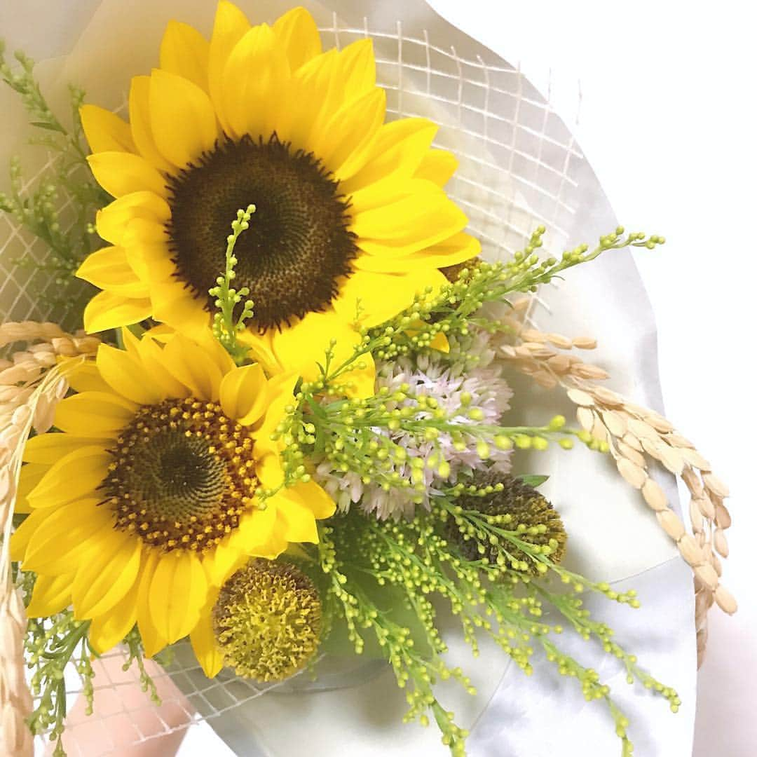 西村笑花さんのインスタグラム写真 - (西村笑花Instagram)「🌻 ・ ・ 昨日頂いたひまわり😌嬉しいっ💛 ひまわり畑も何年も行ってないから行きたいなぁ🌻✨ お花はひまわりと薔薇とハイビスカスとプルメリアが好き❤︎ #ありがとう #花言葉も素敵 #ひまわり #向日葵 #可愛い #お花 #嬉しい #🌻 #himawari」9月2日 10時24分 - emika_nishimura