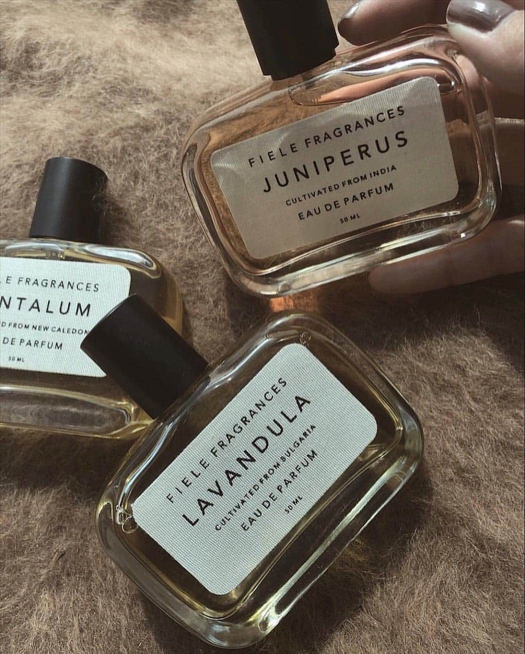 JUNNAのインスタグラム：「香りも衣替え。 最近ずっと使っている香りをお店で！ 🇺🇸🌵カリフォルニアから @etretokyo  に新しい香りが加わります🖤 Fiele Fragrance(フィエールフレグランス) コンセプト通り"純粋でとらえどころの無い、  天然植物のエッセンスを使った香りたち。 ・ ・ ⚠️9月26日大阪ルクア店OPEN #etretokyo  #junna💋 #FieleFragrance #フィエールフレグランス#エトレセレクト」