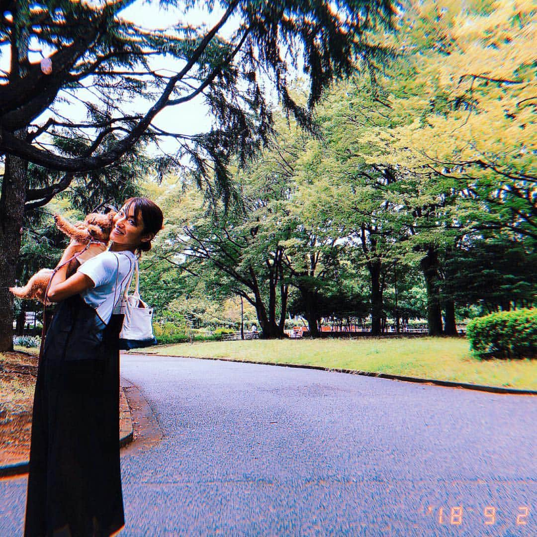 内山理名さんのインスタグラム写真 - (内山理名Instagram)「🌳🦔🌳 ・ ティンクのお手手が ぴょ〜ん。 ・ #park #tink #love #smile」9月2日 16時00分 - rinauchiyama_official