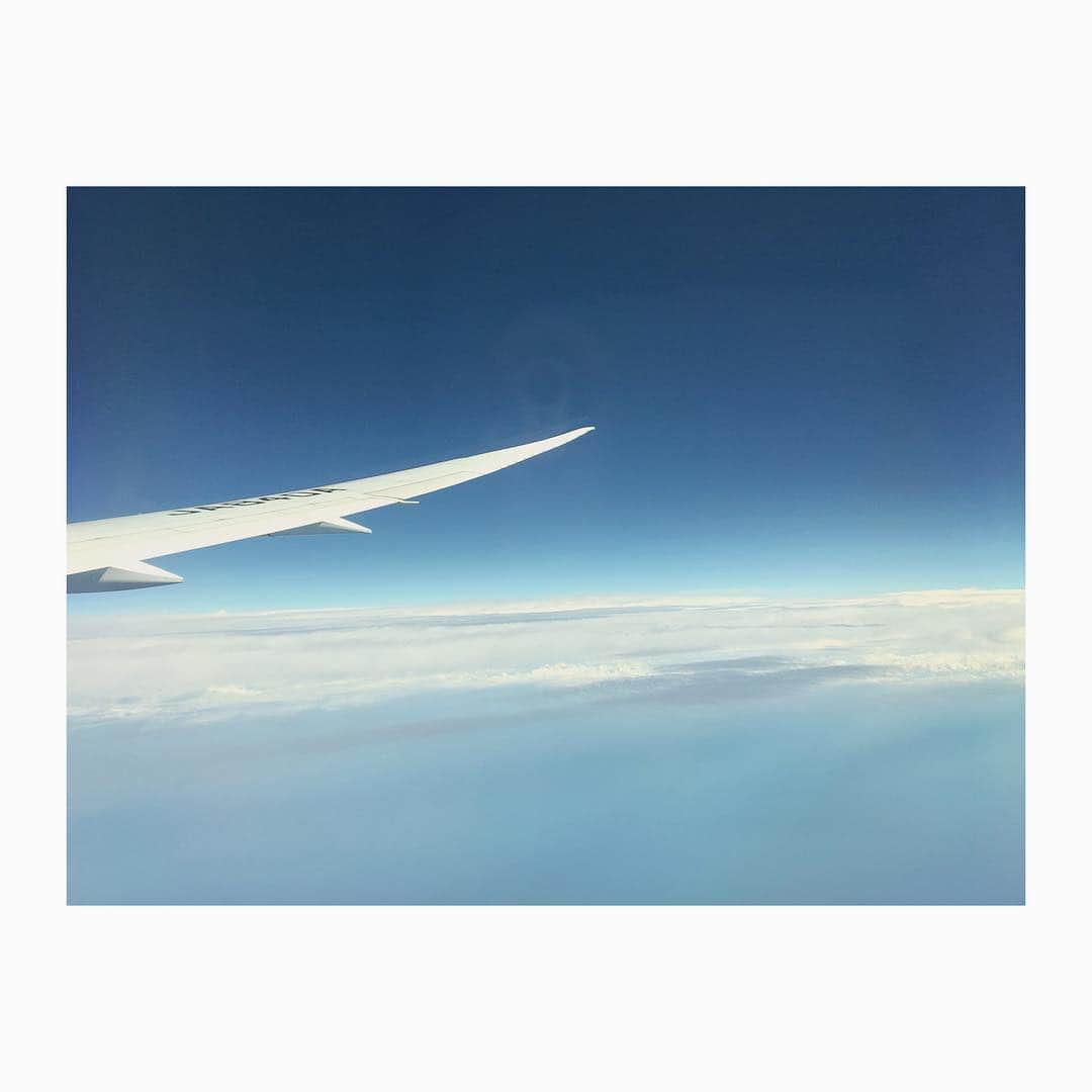 本田仁美さんのインスタグラム写真 - (本田仁美Instagram)「この間ひさしぶりに 飛行機の窓側の席になれた😊✈️ . 窓側座るとずーーっと 外見てる👀✨ . . #✈️」9月2日 21時06分 - 10_hitomi_06