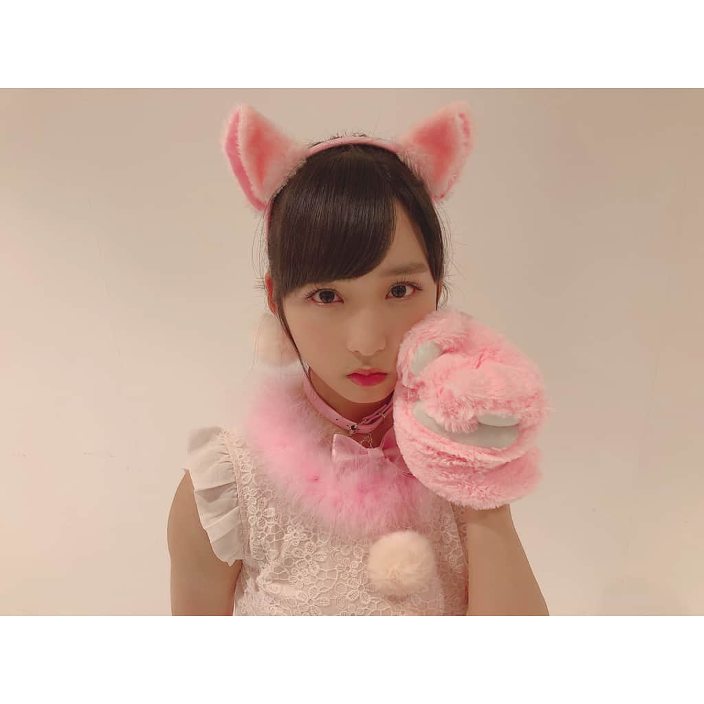 小栗有以さんのインスタグラム写真 - (小栗有以Instagram)「にゃん。。🐈 . . . .  #猫 #撮影 #生写真」9月3日 23時41分 - yuioguri_1226