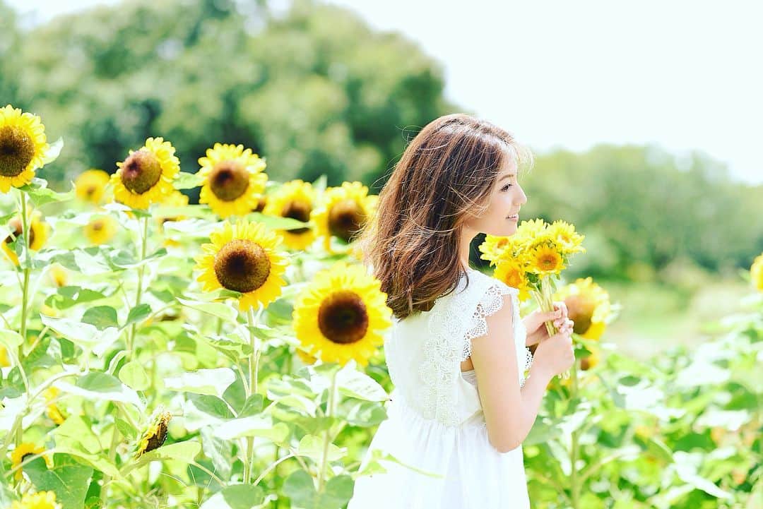 市原彩花さんのインスタグラム写真 - (市原彩花Instagram)「もうちょっとだけ、秋来るの待って欲しい。 #ひまわり#ひまわり畑#sunflower#市原彩花 . 大阪出張中ですが、台風のため夜までスパに引きこもり🧖‍♀️ 皆さんもお気をつけて… #嵐を呼ぶ女#本当にごめんなさい」9月4日 14時54分 - ayaka_ichihara