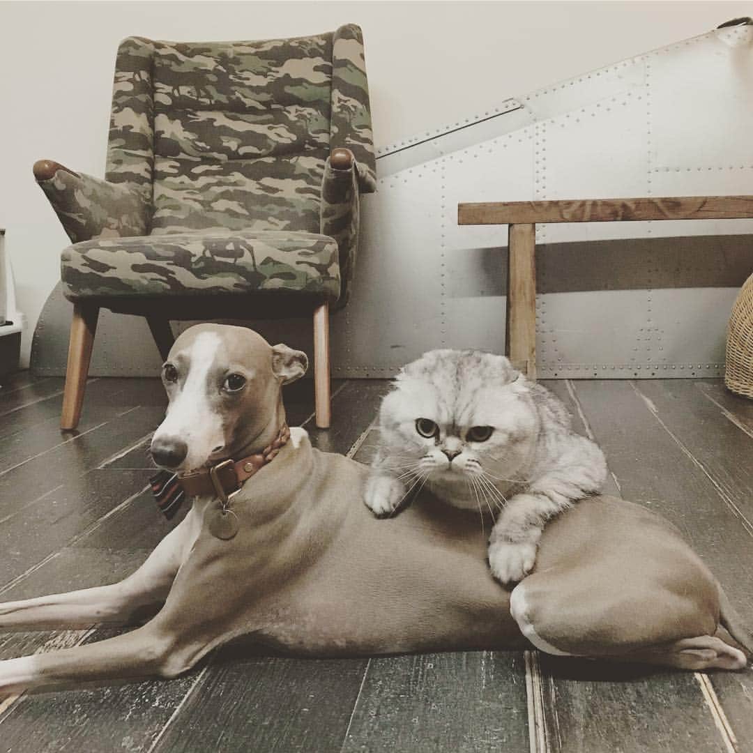 Roku Rokuのインスタグラム：「Me and my bro @phoenixtheig ❤️」